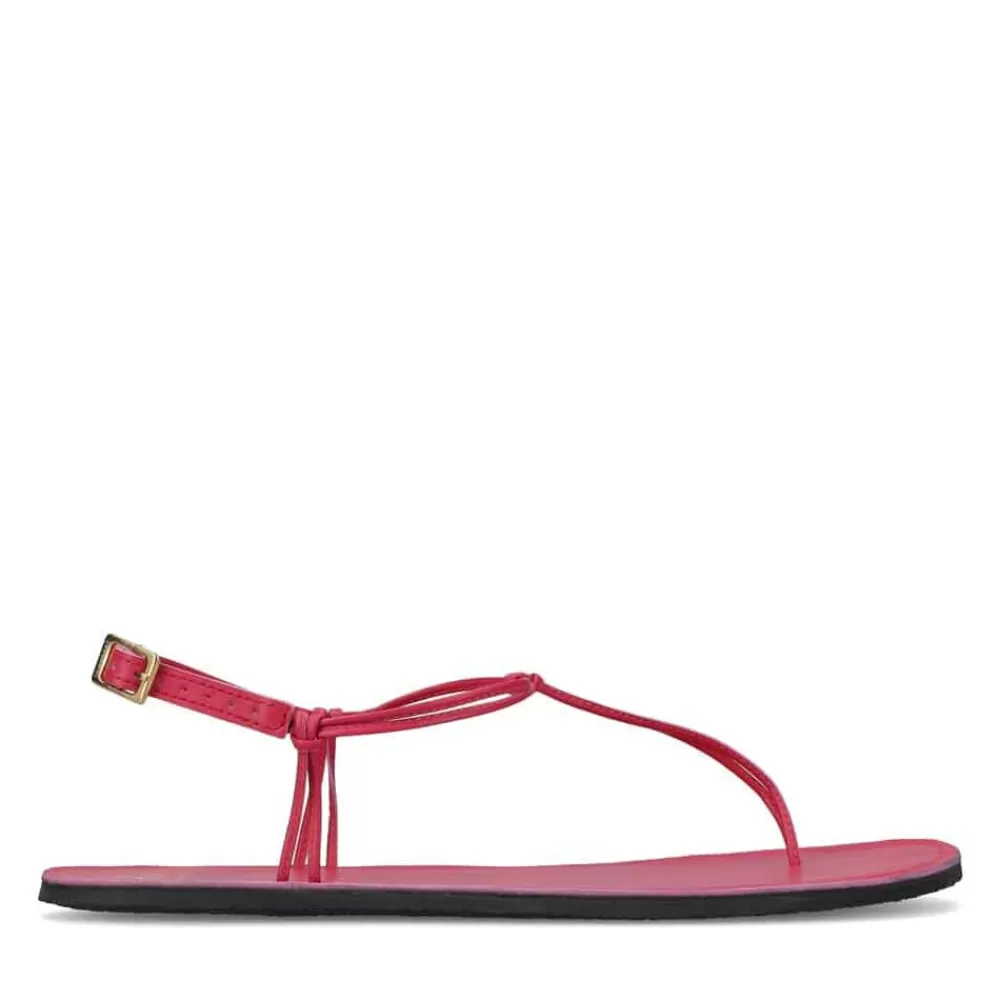 Groundies ® Amalfi Women | Women Sandals