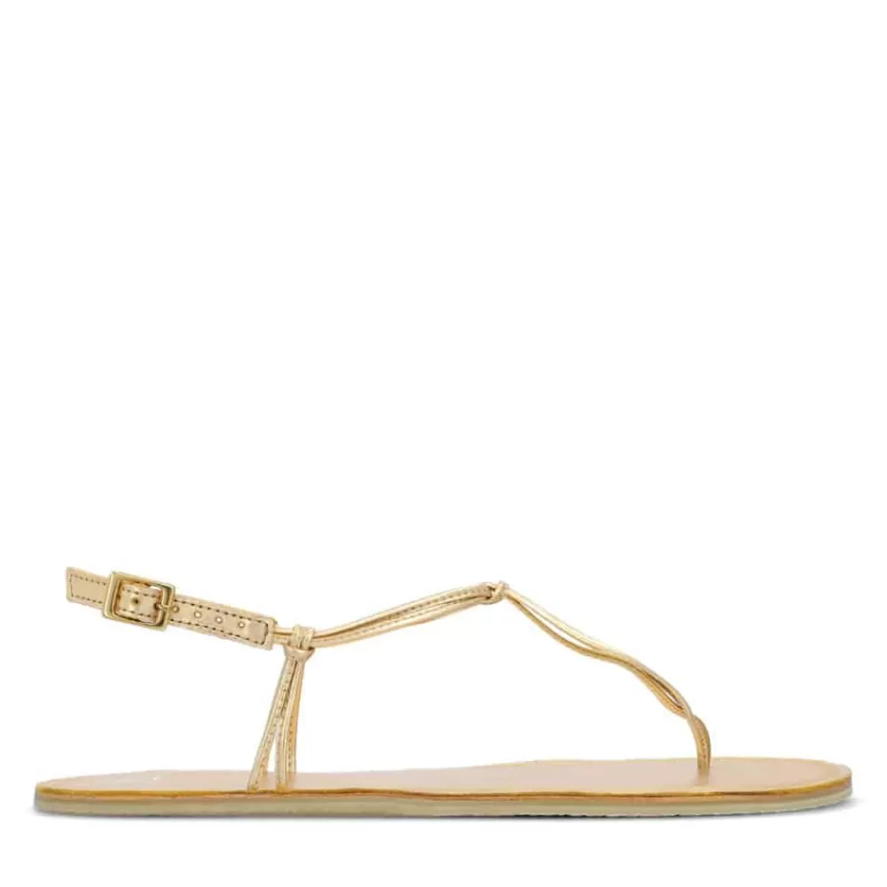 Groundies ® Amalfi Women | Women Sandals